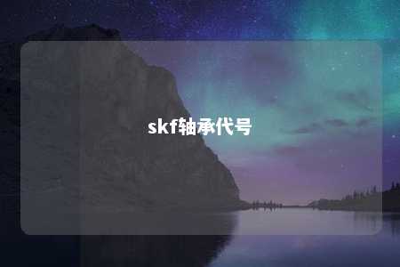 skf轴承代号 